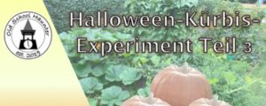 2021-05-02_pumpkin-experiement-03-teaser